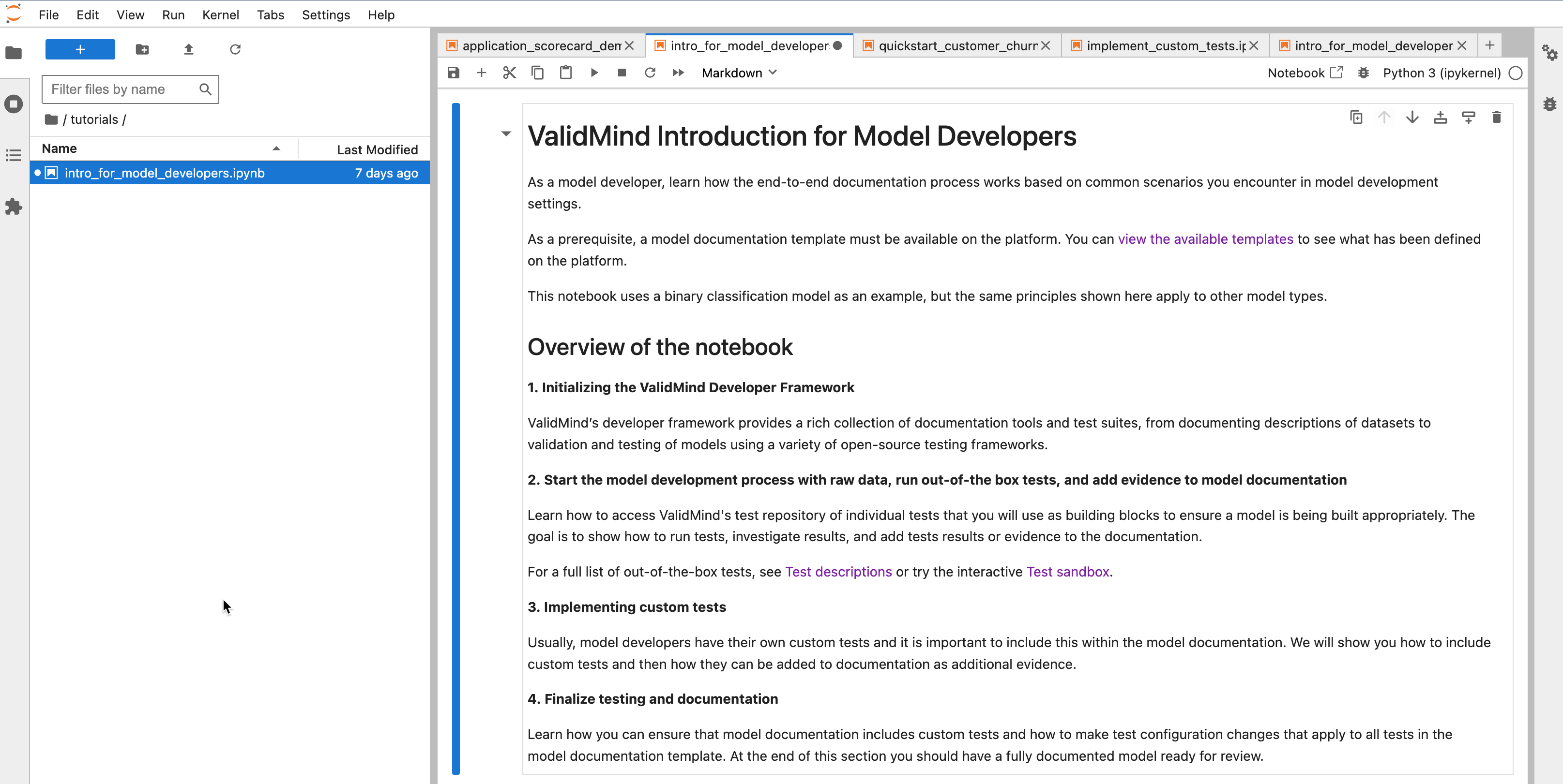 A screenshot showing the new introductory notebook for developers opened in JupyterHub