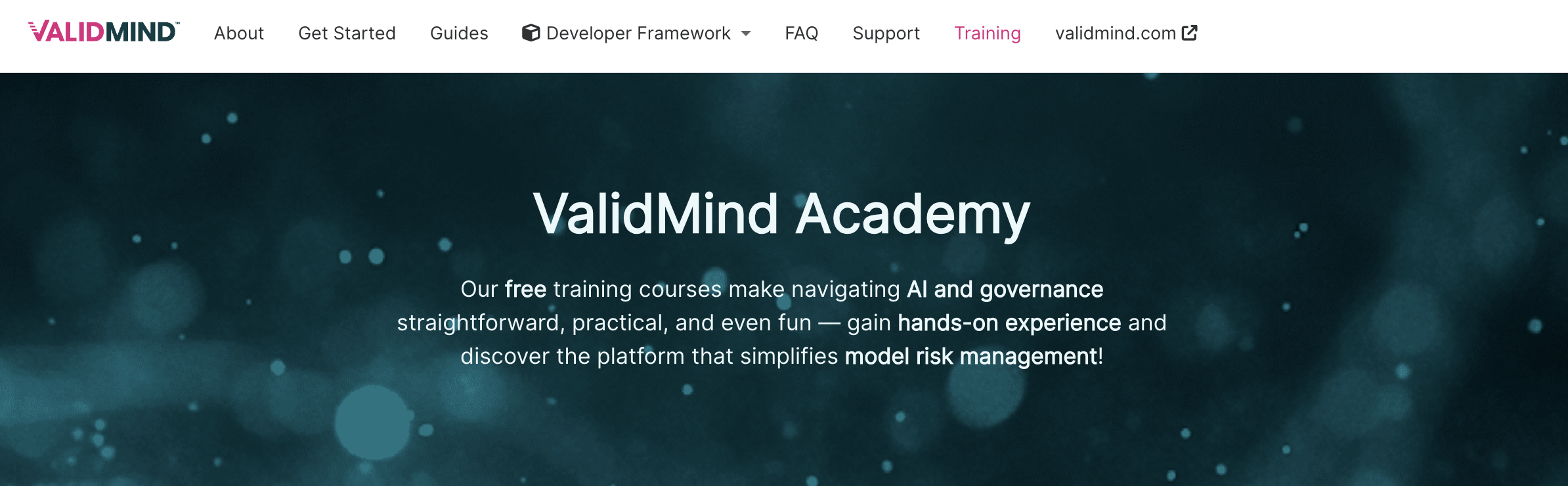 A screenshot of the old training top navigation