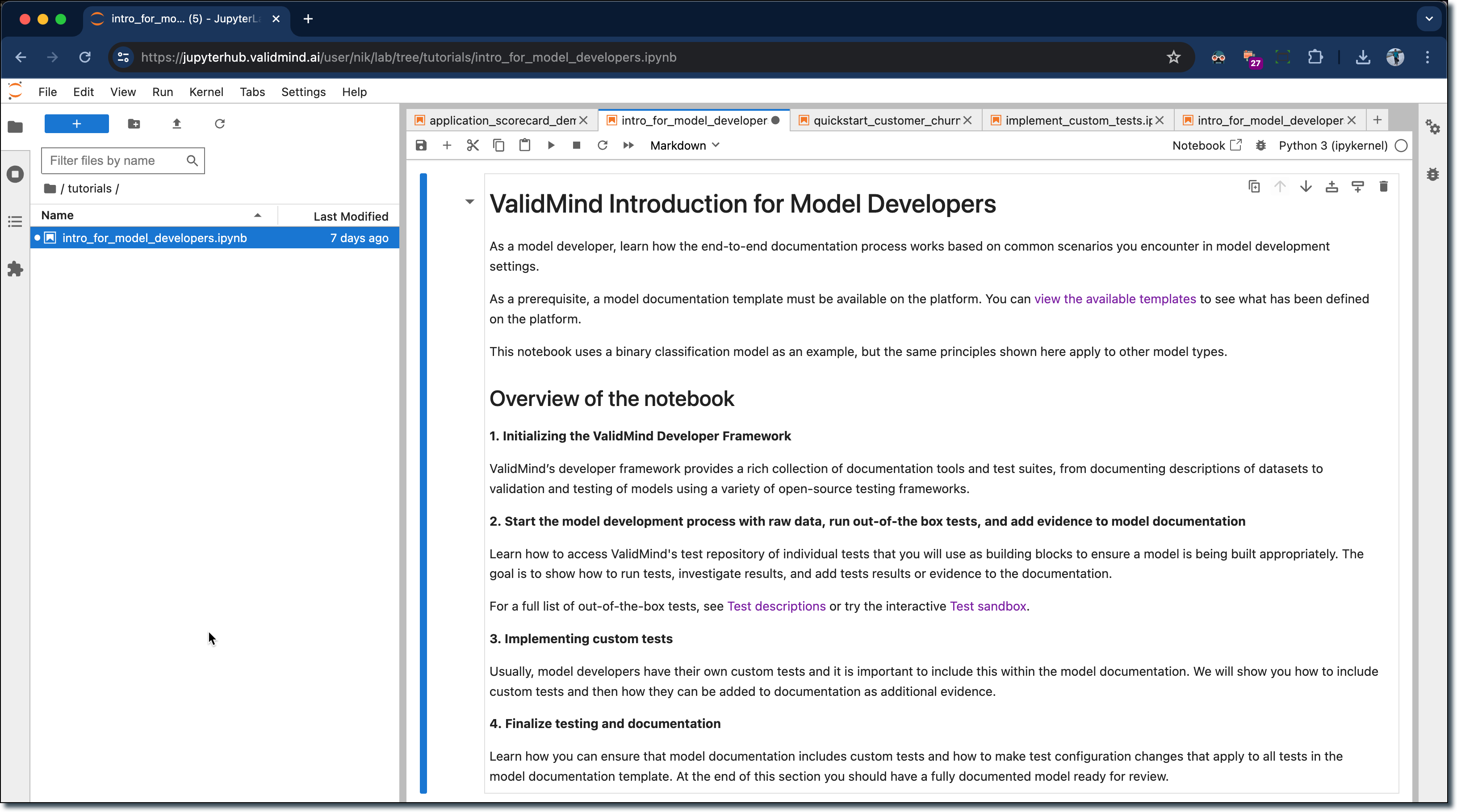 A screenshot showing the new introductory notebook for developers opened on JupyterHub